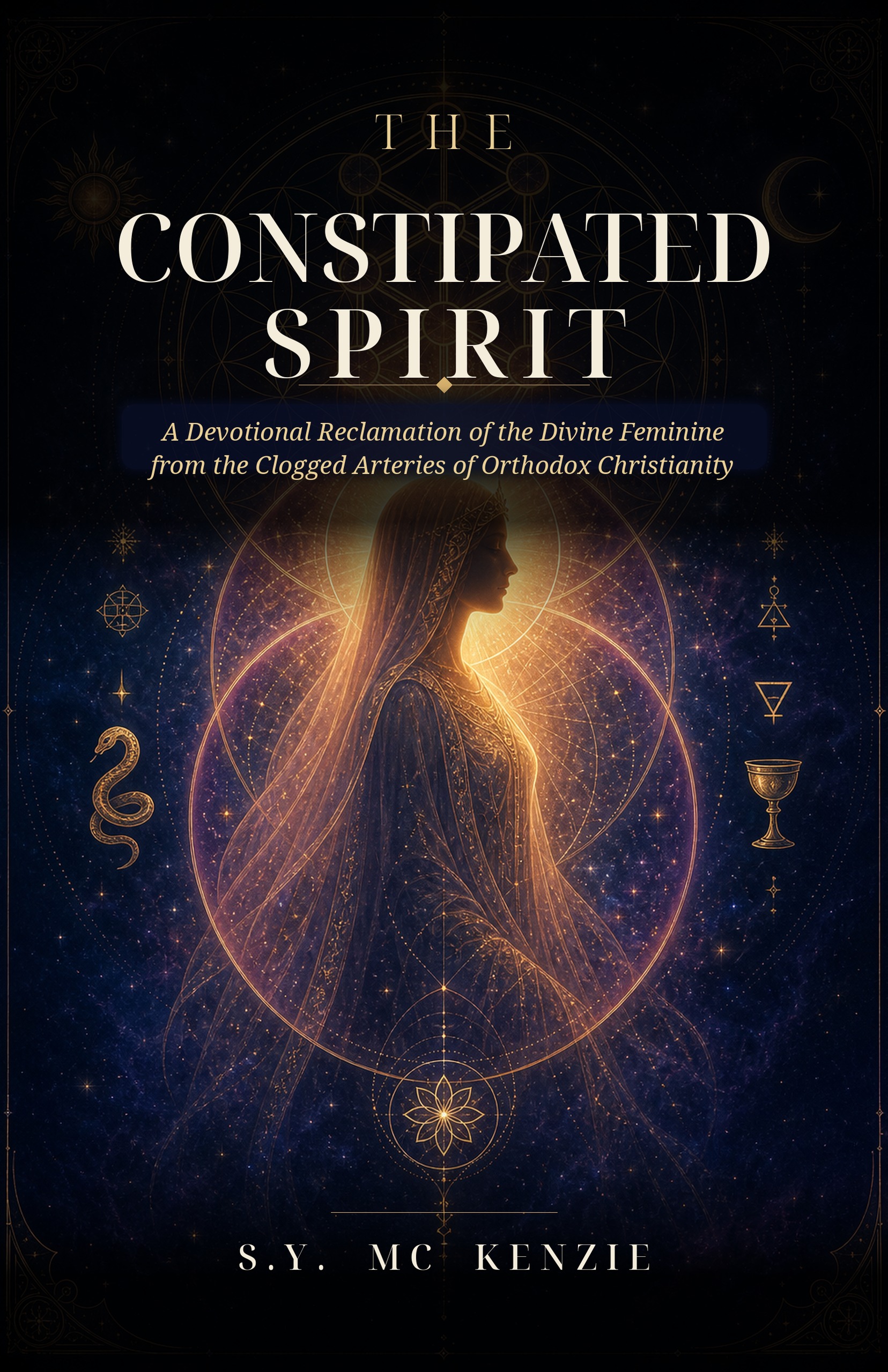 The Constipated Spirit ebook cover by S.Y. Mc Kenzie